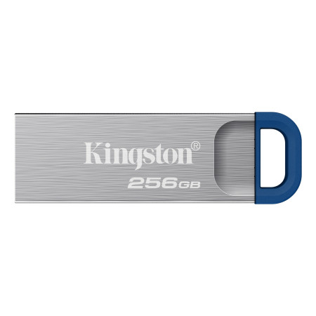 Kingston Technology DataTraveler Kyson USB flash drive 256 GB USB Type-A 3.2 Gen 1 (3.1 Gen 1) Stainless steel