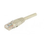 Dexlan 852511 Câble réseau Cordon patch RJ45 ftp CAT6 0,30 m Gris