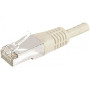 RJ45 male/RJ45 male CAT 5e Shielded Beige cable - 3.00 m