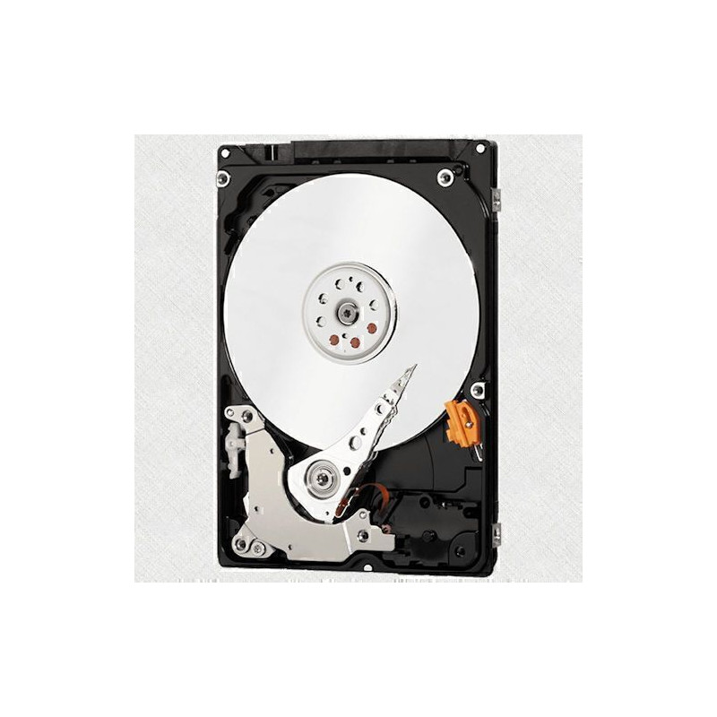 HGST CinemaStar C5K1000.B HCC541010B9E360 1000 Go - 2.5" - SATA (SATA/300)