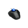 TRACKBALL ORBIT TRACKBALL