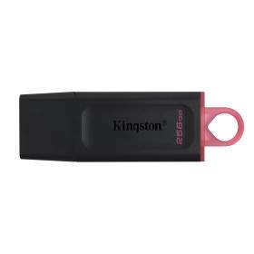 Kingston Technology DataTraveler Exodia - Clé USB 3.2