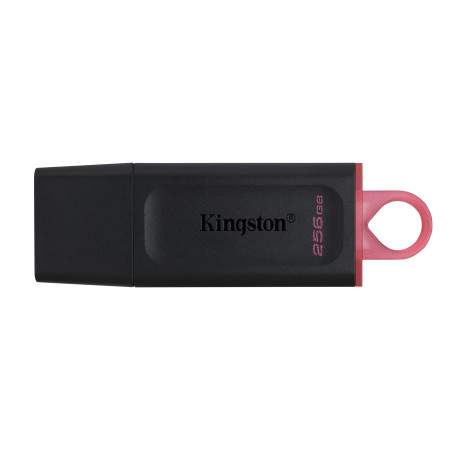 Kingston Technology DataTraveler Exodia USB flash drive 256 GB USB Type-A 3.2 Gen 1 (3.1 Gen 1) Black, Pink