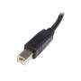 CABLE USB A VERS USB B -