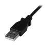 CABLE MINI USB 2 M - A VERS