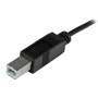 CABLE USB 2.0 USB-C VERS USB-B