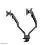 NEWSTAR FLAT SCREEN DESK MOUNT