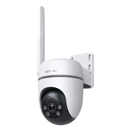TP-Link TC40GW caméra de sécurité Tourelle Caméra de sécurité IP Extérieure 1920 x 1080 pixels Plafond/Mur/Poteau
