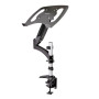 StarTech.com Support de Bureau pour Ordinateur Portable - Bras Articulé PC Portable ou Écran 34"(15kg) - Support VESA - Plateau