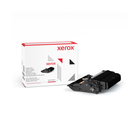 Xerox 013R00702 toner cartridge 1 pc(s) Original