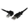 StarTech.com 2m USB 2.0 A - B USB cable 78.7" (2 m) USB A USB B Black