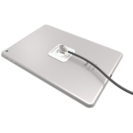 Compulocks Universal Tablet Lock câble antivol Acier inoxydable