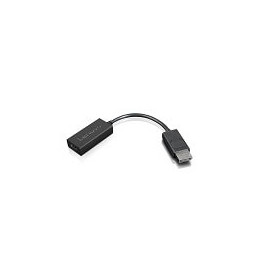 Lenovo 4X90R61023 video cable adapter 8.86" (0.225 m) DisplayPort HDMI Type A (Standard) Black