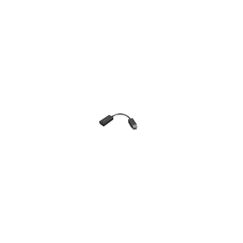 Lenovo 4X90R61023 video cable adapter 8.86" (0.225 m) DisplayPort HDMI Type A (Standard) Black