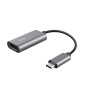 Trust Dalyx adaptateur graphique USB Gris