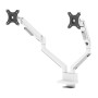 Neomounts DS70-250WH2 monitor mount / stand 32" Desk White