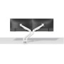 Neomounts DS70-250WH2 monitor mount / stand 32" Desk White