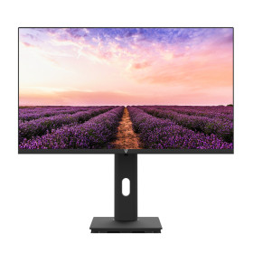 V7 L270V1-HAS-E écran plat de PC 68,6 cm (27") 1920 x 1080 pixels Full HD LED Noir
