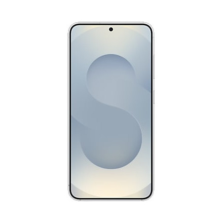 Samsung Galaxy S25 Enterprise Edition 15,8 cm (6.2") Double SIM Android 15 5G USB Type-C 12 Go 128 Go 4000 mAh Argent