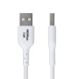 StarTech.com USB2AC2MNCWHE USB cable USB 2.0 78.7" (2 m) USB A USB C White