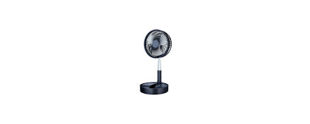 Fans